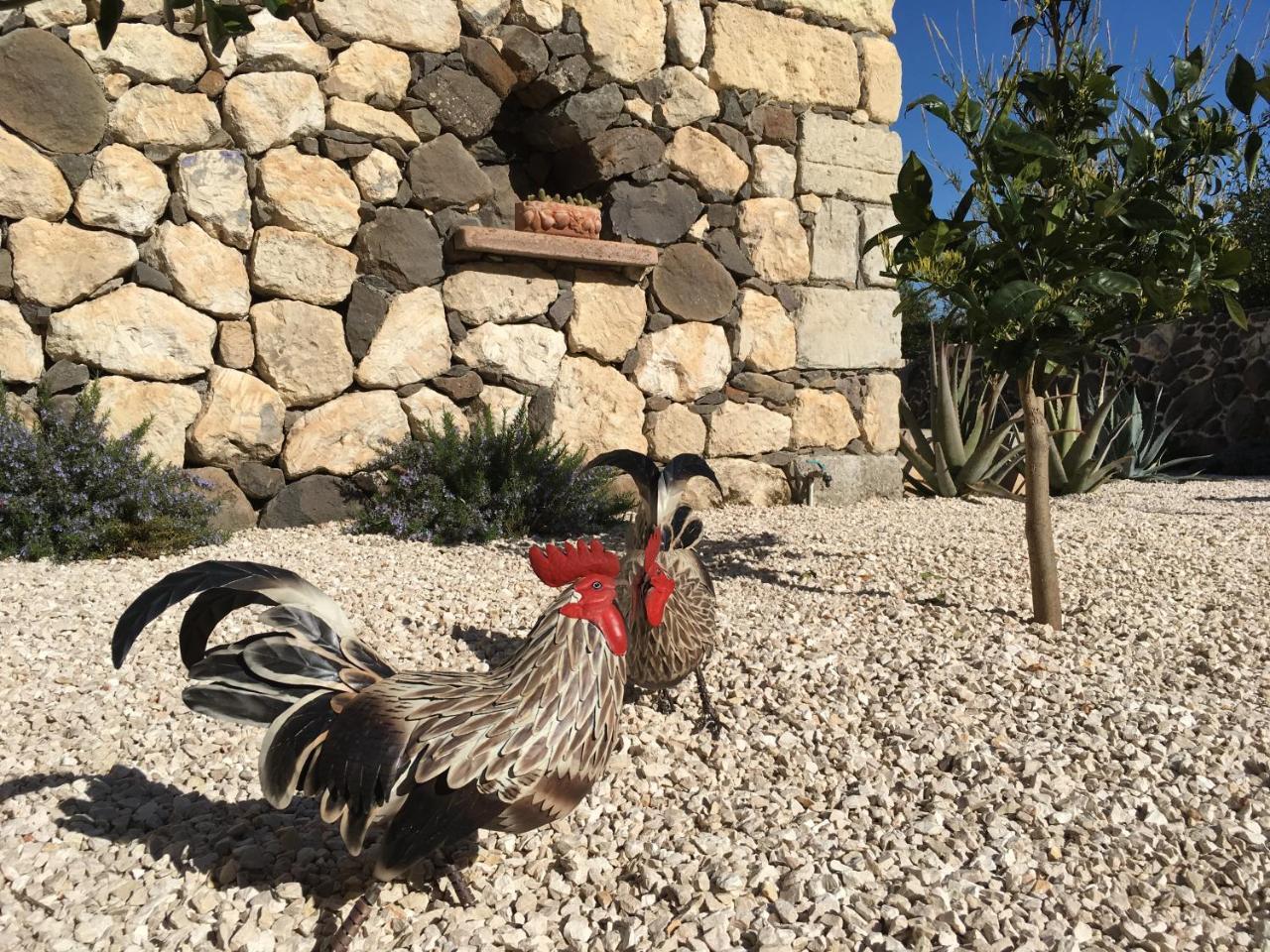 La Petite Maison Tresnuraghes Zewnętrze zdjęcie